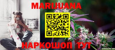 мдпв Донской