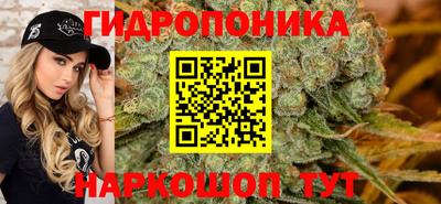 твердый Краснознаменск