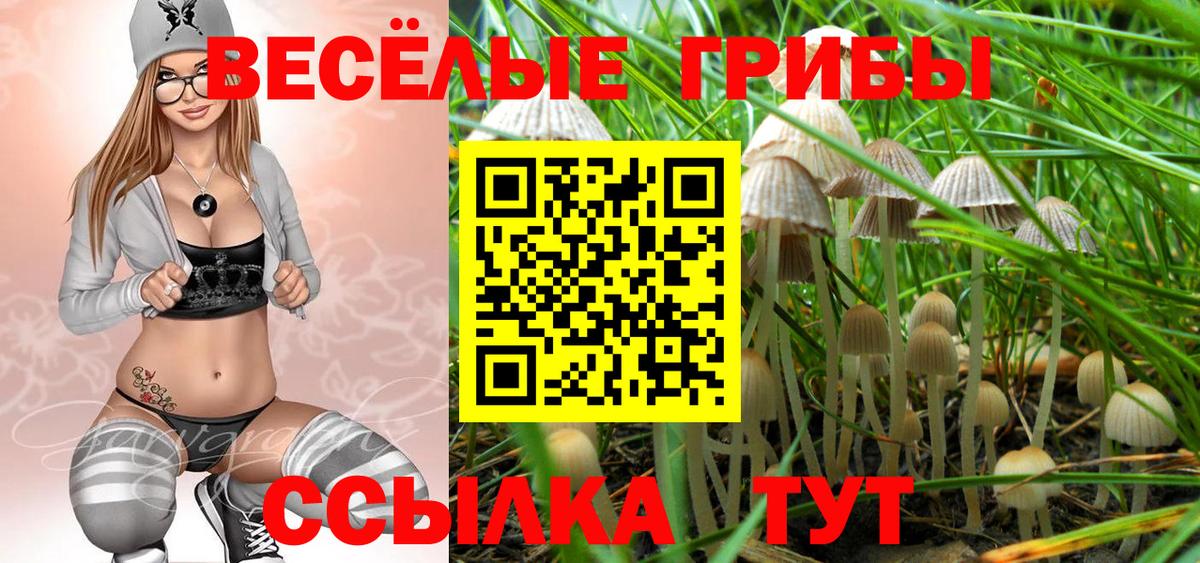 Псилоцибиновые грибы GOLDEN TEACHER Карачаевск