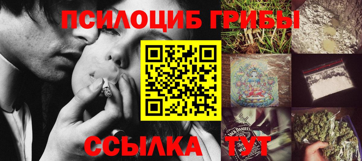Галлюциногенные грибы MAGIC MUSHROOMS  Вход с VPN  Карачаевск 