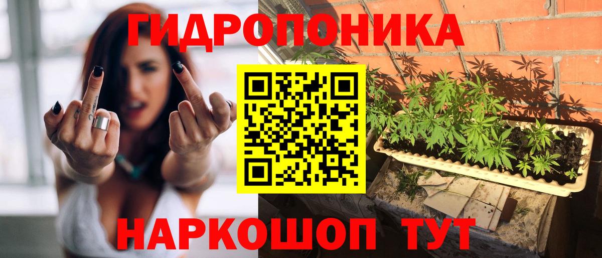 Канабис Карачаевск