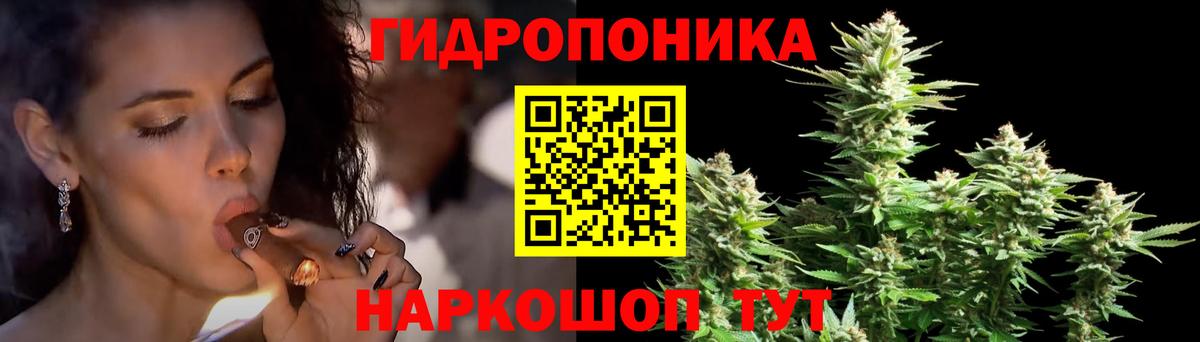 Канабис семена  Вход с VPN  МАРИХУАНА планчик  Карачаевск  Каннабис LSD WEED 